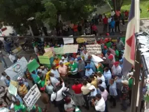 Ganaderos se concentrarán el domingo en Hato Mayor para demandar soluciones al Gobierno