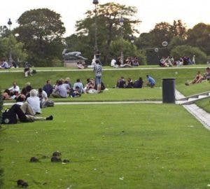 París padece plaga de ratas sin precedentes