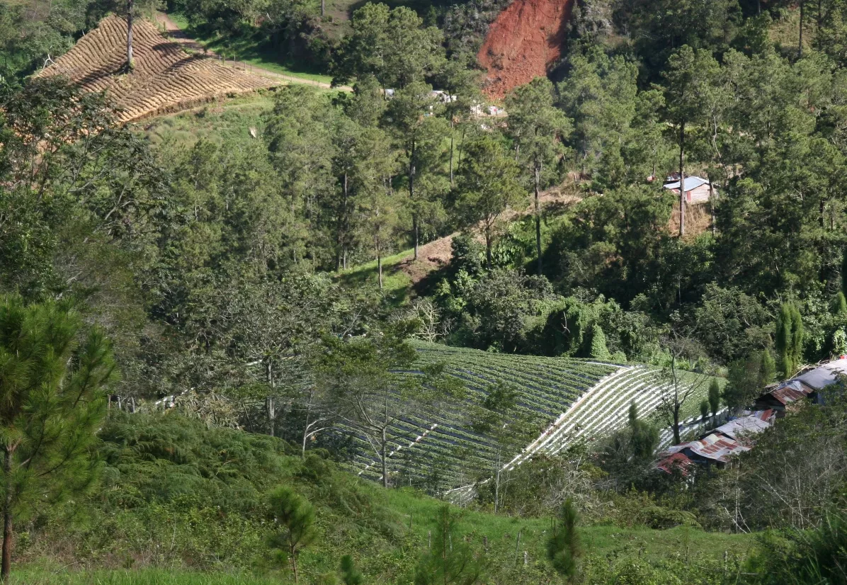 Grupo ambientalista respalda  a Medio Ambiente en rescate de Valle Nuevo