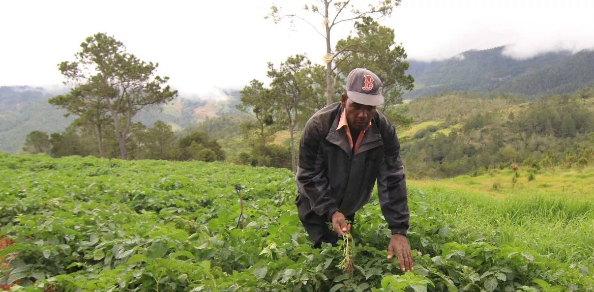 14_nacionales_10_1p01