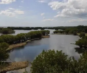 Humedales reducen riesgos de desastres fenómenos naturales