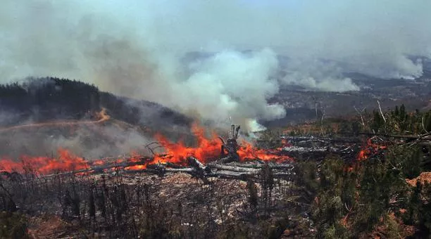 Más de 40 detenidos por provocar gigantescos incendios forestales en Chile