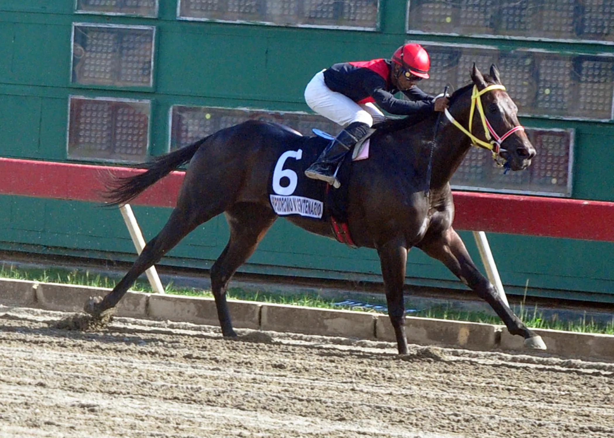 Kamizake gana primera carrera del 2017; Héctor Hernández consigue 3 victorias