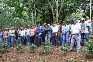 Destacan avances  en renovación plantaciones de café en finca experimental