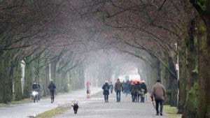 La nieve y el hielo ponen en jaque amplias zonas de Alemania