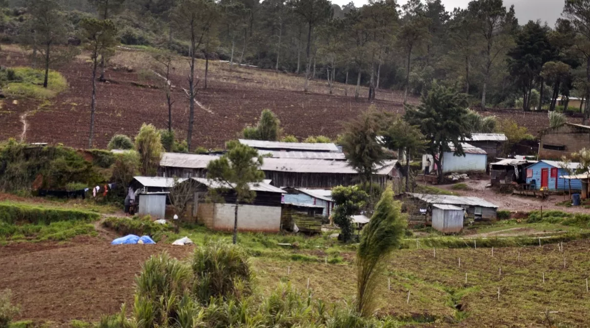 Los agricultores esperan soluciones