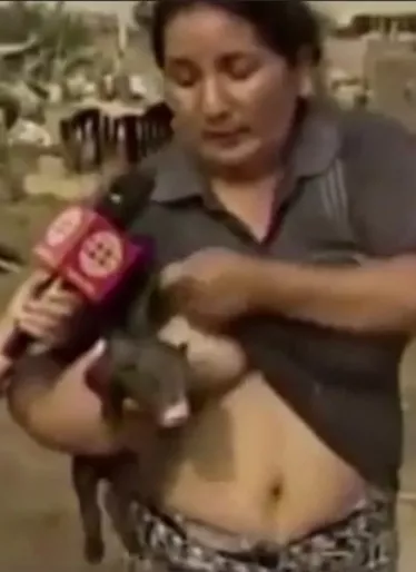 28_cartelera_10_1p01