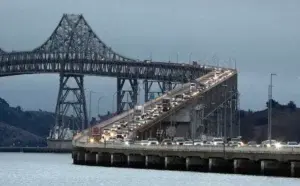 Nido de colibrí paraliza obras en puente en California