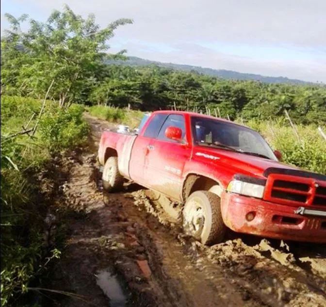 Ganaderos de Puerto Plata reclaman reparación caminos vecinales