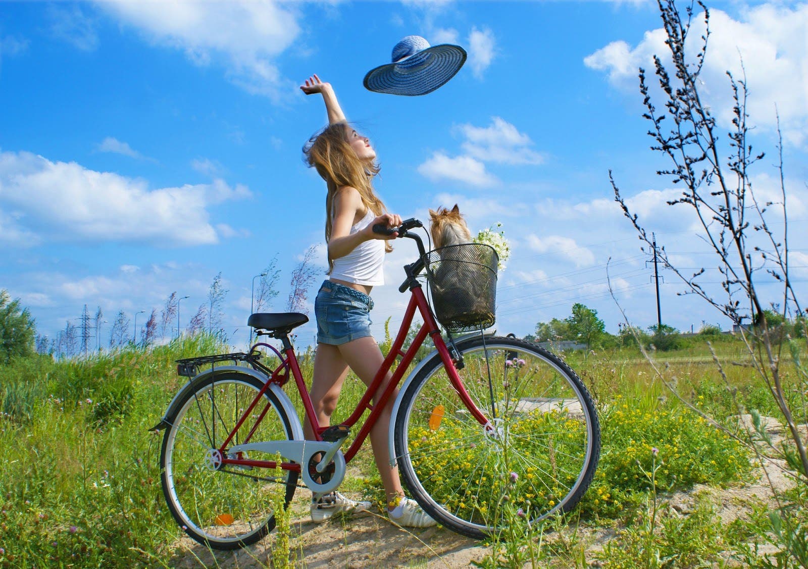 linda-chica-disfruta-un-dia-soleado-a-orillas-de-la-ciudad-con-mascota-en-la-bicicleta