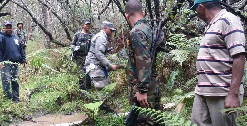 Continúa intervención  en Valle Nuevo