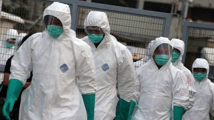 La OMS reporta mutaciones en el virus de la gripe aviar