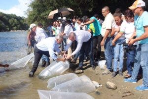 CODOPESCA informa trabaja en proyectos convertirán al país exportador tilapia