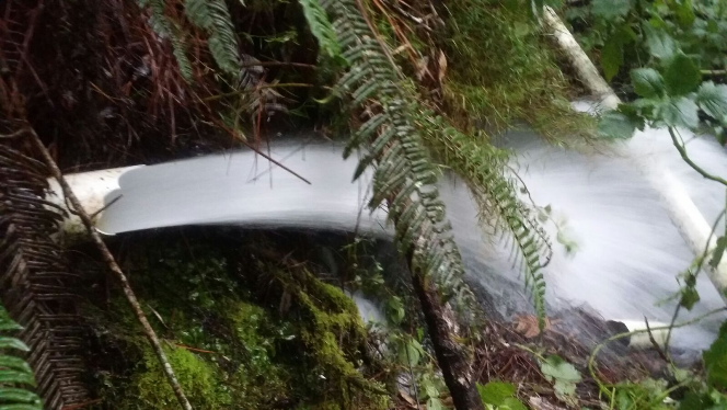 Medio Ambiente desmantela tuberías en ríos del Parque Nacional Valle Nuevo
