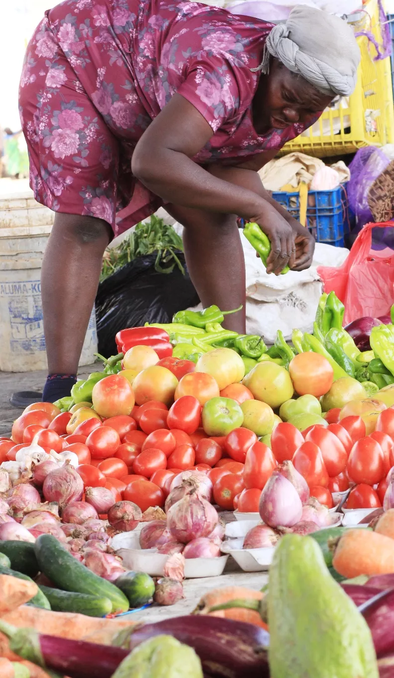 14_nacionales_06_01p01