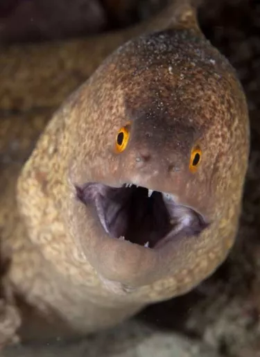 24_cartelera_20_1p01