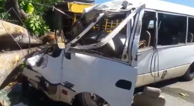 Árbol cae sobre un autobús y mata dos adolescentes que realizaban una gira