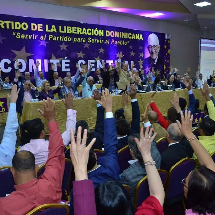 Comité Central PLD postergó conocimiento tres reglamentos hasta que se apruebe ley de partidos