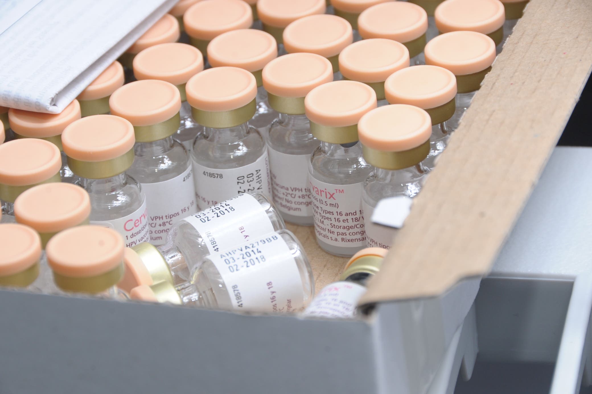 Jornada de vacunación contra el Papiloma iniciará el lunes en escuelas