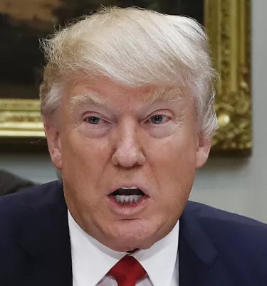 Donald Trump,Wilbur Ross,Matt Levatich