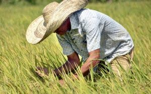 Medina celebra Día del Agricultor