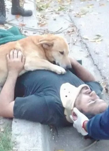 26_cartelera_19_3p01