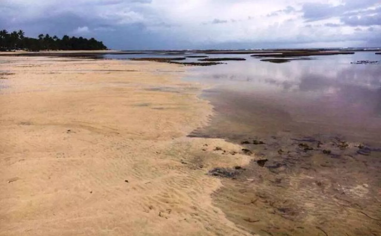 El mar se retira de la costa norte; geólogo descarta un tsunami