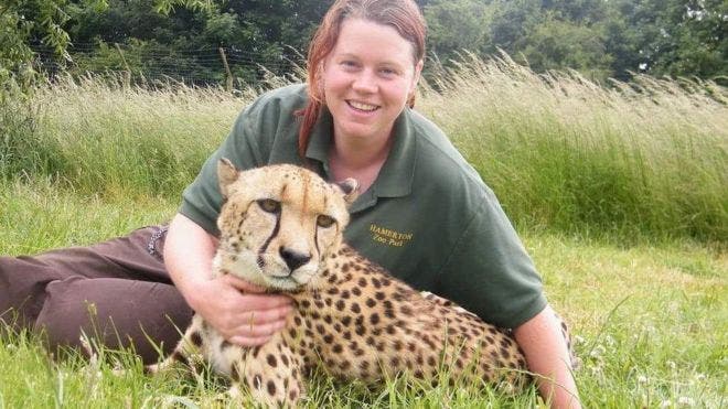 Tigre ataca y mata a su cuidadora en un zoológico de Reino Unido