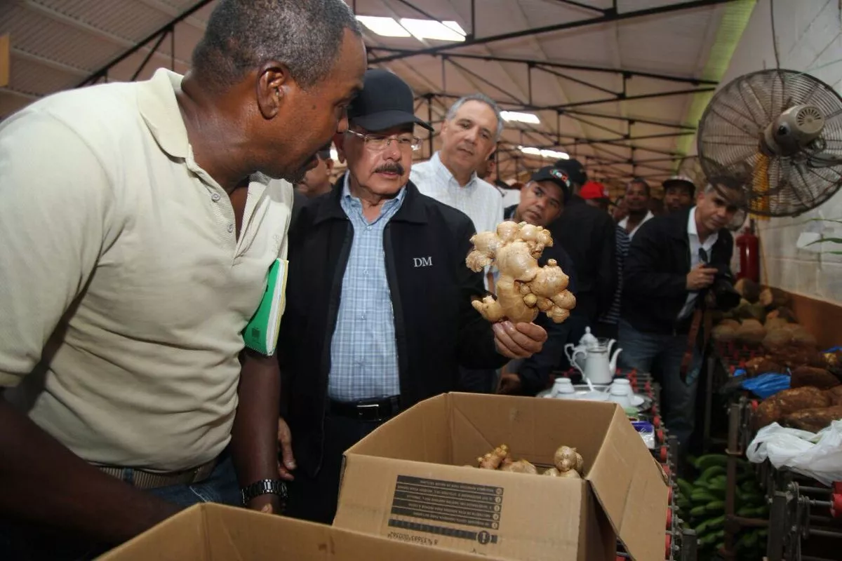 Danilo Medina ofrece apoyo a productores de jengibre en Samaná