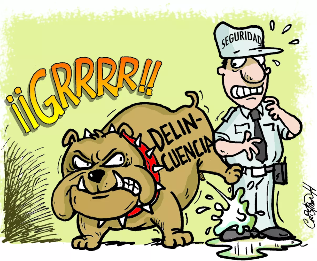 delincuencia-y-seguridad