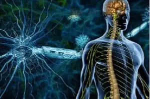 La esclerosis múltiple y la pista de la reparación de las neuronas