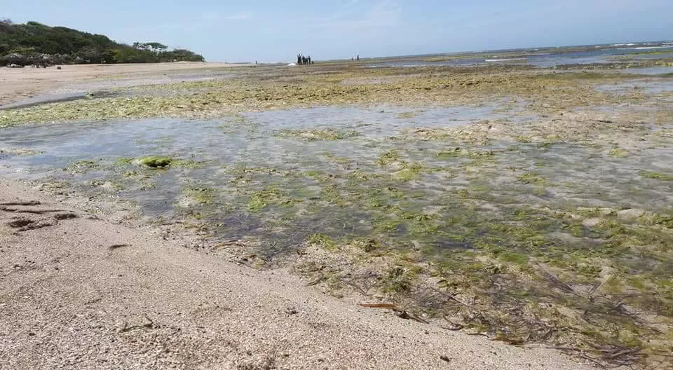 Vuelve a retirarse el mar en playas de Puerto Plata