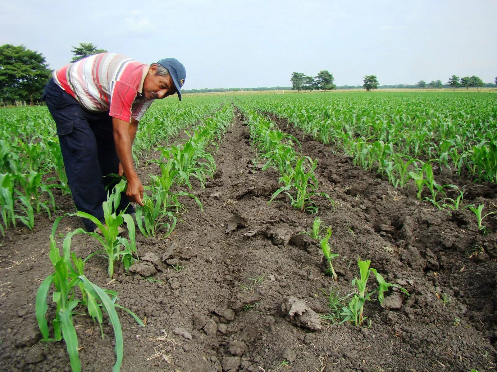 Confenagro apoya reclamos de los técnicos agropecuarios