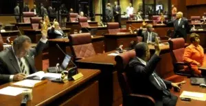 Víctor Terrero critica al Senado