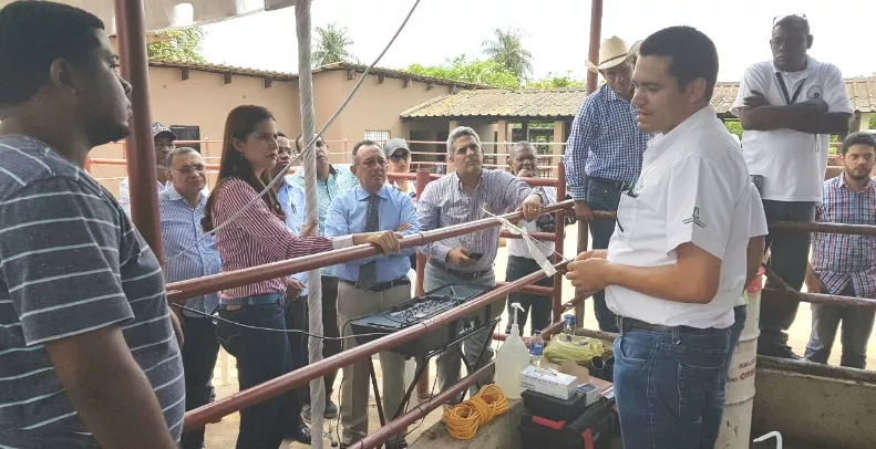 16_nacionales_06_4p01