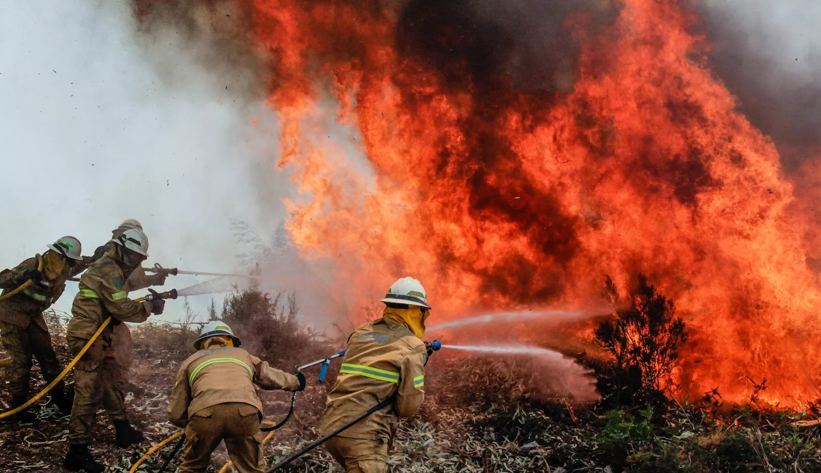 Forest fire in Alvaiazere