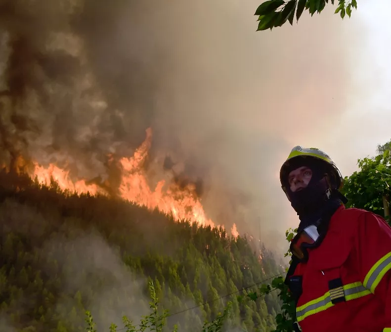 Bomberos combaten sin descanso fuego forestal en Lisboa