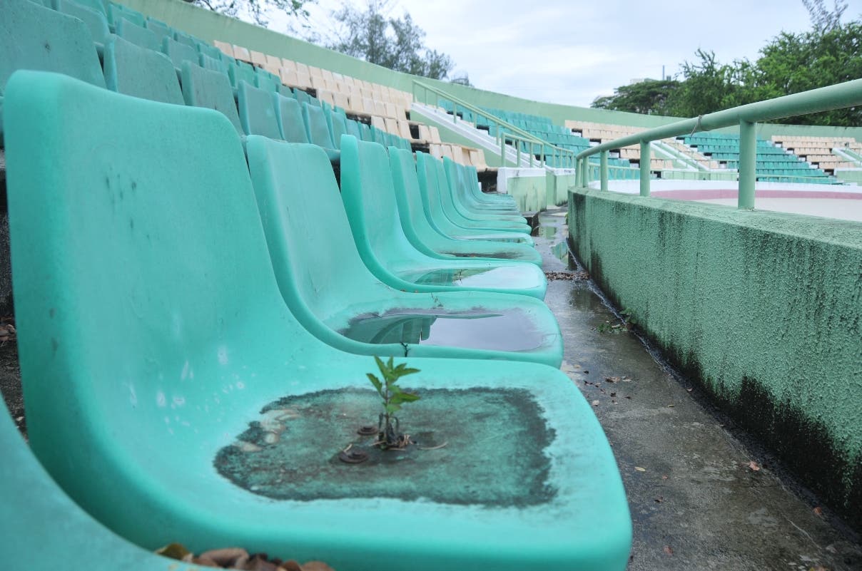 Un árbol crece sobre un asiento de las gradas centrales, lo que deja claro  el abandono de la obra.