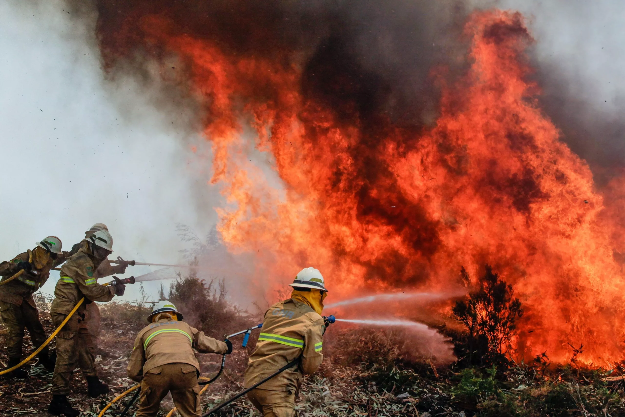 Inmenso incendio forestal deja 62 muertos en Portugal