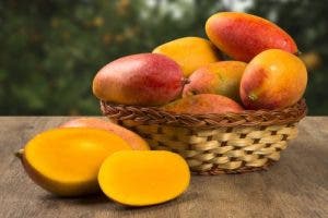 RD proyecta exportaciones de mangos por 50 millones de dólares en 2024