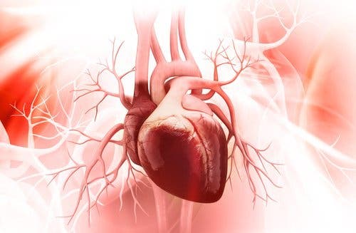 30% problemas congénitos del corazón se detecta tardíamente