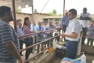 Agricultura presenta primera transferencia de embriones in vitro de alto valor genético