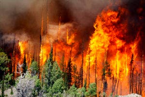 Bomberos combaten varios incendios en el oeste de EEUU