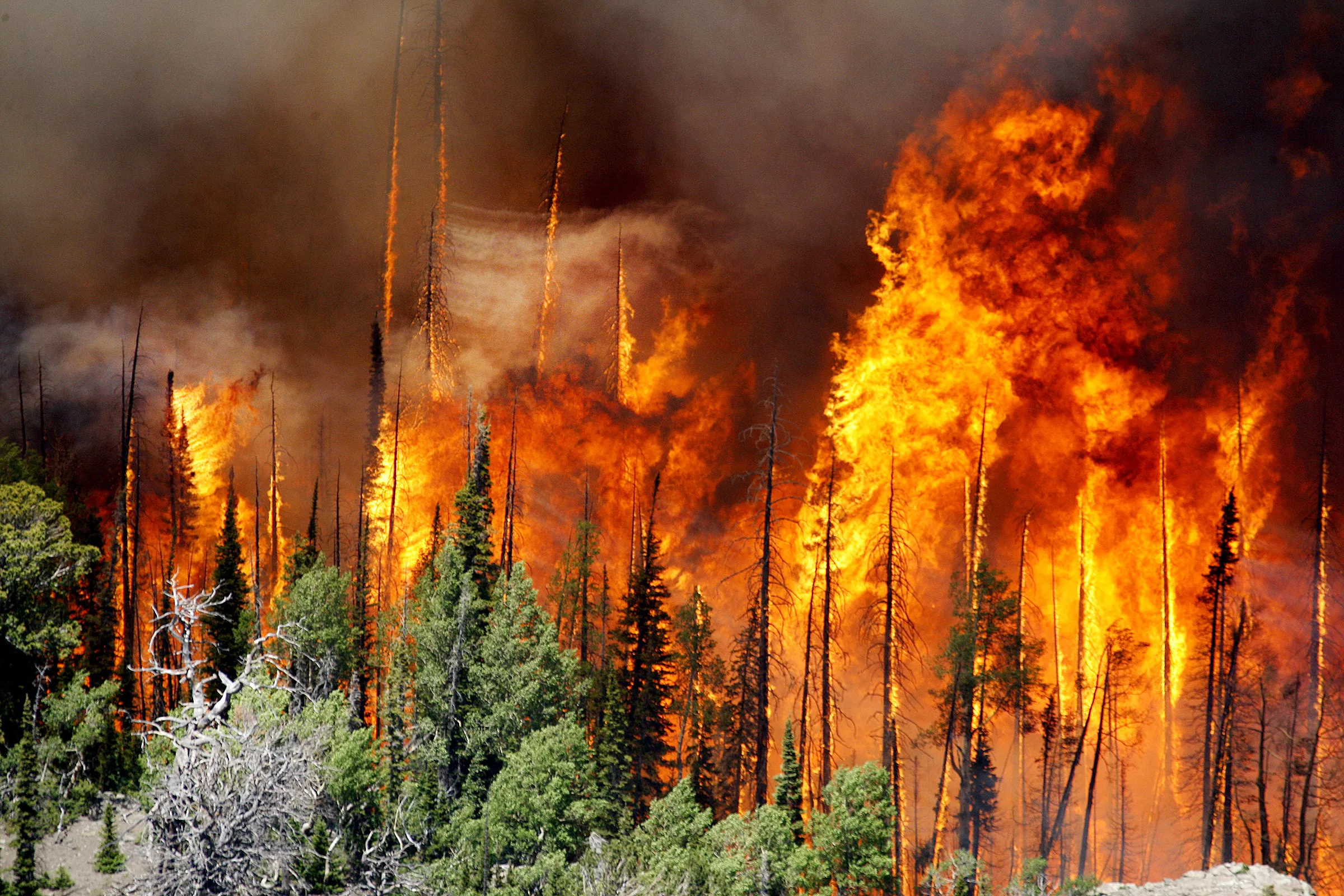 Bomberos combaten varios incendios en el oeste de EEUU