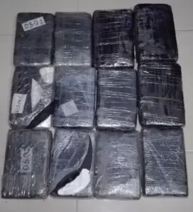 Apresan hombre con 12 paquetes de droga en Santo Domingo Este