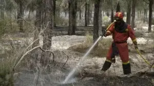 Al menos 1.800 evacuados por incendio que llega a parque natural español