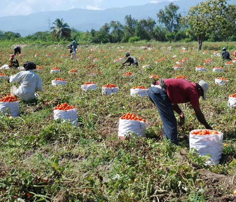 Exministros de Agricultura destacan crecimiento sector