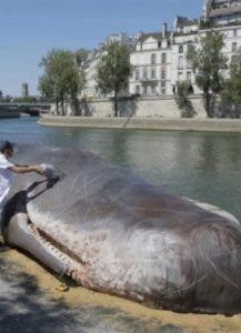 Escultura de ballena detrás catedral de Notre Dame