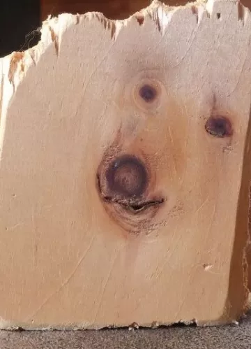 La cara de un perro formada por nudos de madera