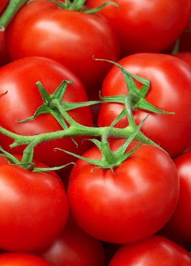 El tomate reduce un 5% cáncer de piel